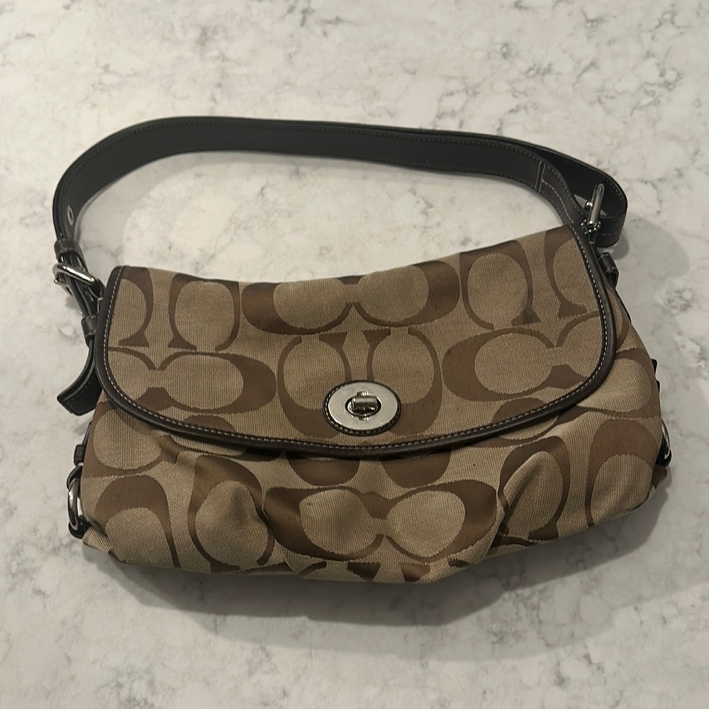 Coach Purse, extremely cute. no rips, tears, marks and or stains.